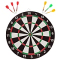 Дартс купить ЦИТ Дартс фото