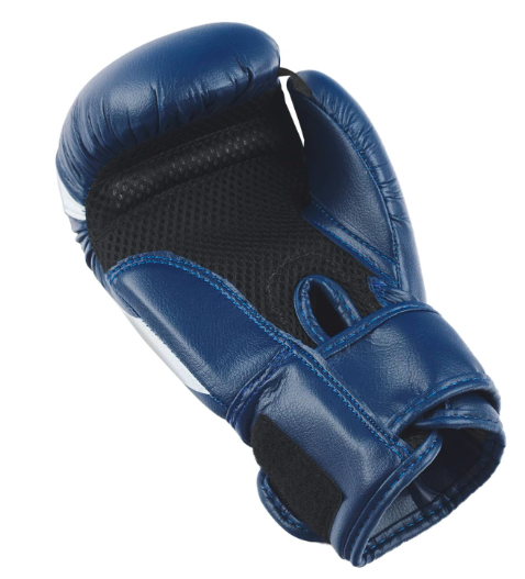 Перчатки боксерские INSANE MARS IN22-BG100, ПУ, синий, 10 oz фото