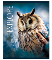 Тетрадь  А5, 48л., клетка BG "Explore", глянцевая ламинация фото