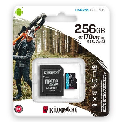 Карта памяти MicroSD 256Gb Kingston Class 10 Canvas Go Plus UHS-I U3 V30 A2 (SDCG3/256GBSP) фото