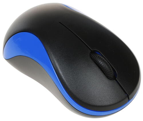 Мышь Oklick 605SW черный/синий оптическая (1200dpi) беспроводная USB (2but) фото