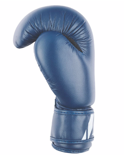 Перчатки боксерские INSANE MARS IN22-BG100, ПУ, синий, 10 oz фото