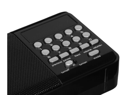 Радиоприемник PERFEO (PF-A4870) PALM - черный фото