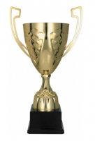 Кубок 4194E (34см) D-120 фото