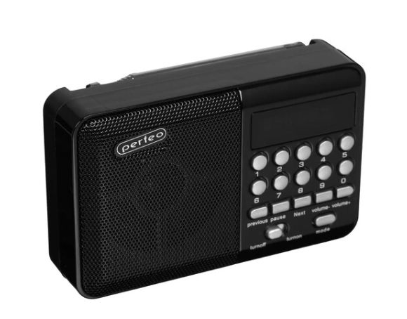 Радиоприемник PERFEO (PF-A4870) PALM - черный фото