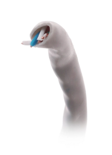 Кабель UTP 5E level медь 305м SkyNet CSL-UTP-4-CU фото