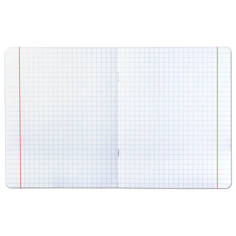 Тетрадь 12 л. BRAUBERG КЛАССИКА NEW крупная клетка, обложка картон, ЗЕЛЕНАЯ, 105689 фото