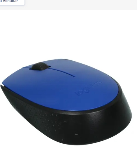 Мышь Logitech M170 Blue wireless USB (910-004647) фото