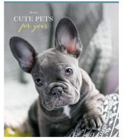 Тетрадь А5, 48л.,клетка ArtSpace "Питомцы. Sweet moment", суперэконом фото