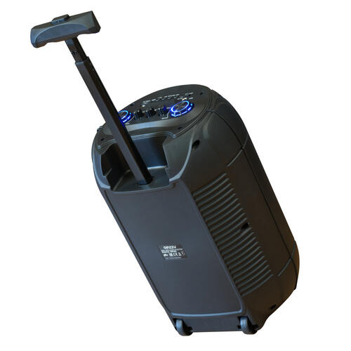 Минисистема GINZZU GM-233 фото