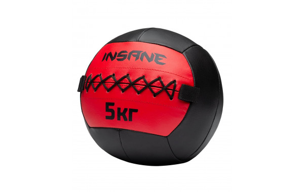 Медбол INSANE IN24-WB100 5 кг, красный фото