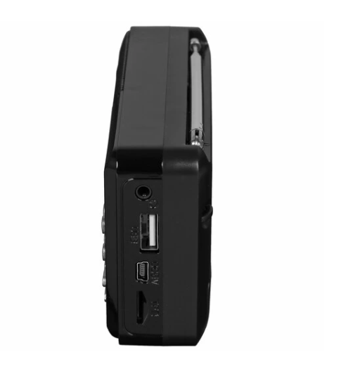 Радиоприемник PERFEO (PF-A4870) PALM - черный купить ЦИТ Радиоприемник PERFEO (PF-A4870) PALM - черный фото