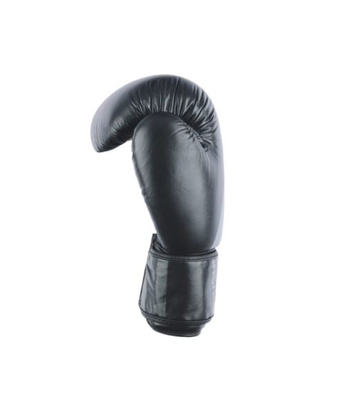 Перчатки боксерские INSANE ARES IN22-BG300, кожа, черный, 8 oz  фото