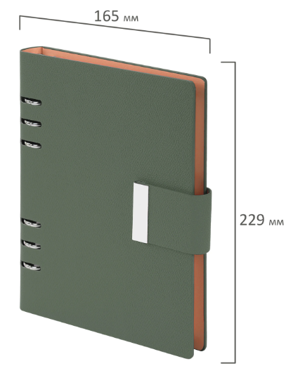 Ежедневник на кольцах в наборе с ручкой А5 165x229мм BRAUBERG Lux под кожу, 100л, зеленый, 116858 фото