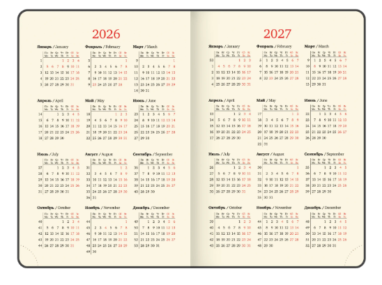 Ежедневник датированный 2026 А5 163х218мм BRAUBERG Note, под кожу, держ д/ручки, серый, 117519 фото