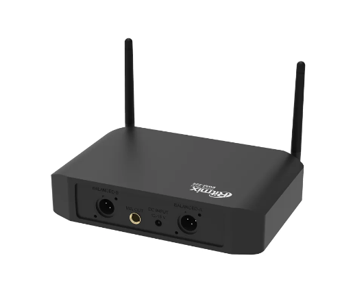 Набор беспроводных микрофонов RITMIX RWM-222 BLACK фото