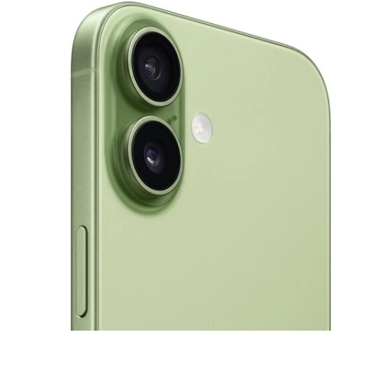 Apple iPhone 17 256GB Sage (Зеленый) (без RuStore) фото