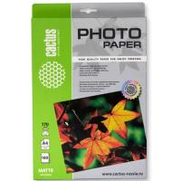 Фотобумага Cactus CS-MA4170100 A4/170г/м2/100л./белый матовое для струйной печати фото