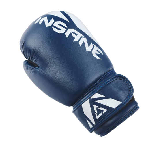 Перчатки боксерские INSANE MARS IN22-BG100, ПУ, синий, 10 oz фото