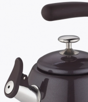 Чайник со свистком ZEIDAN Z-4551 3л., коричневый фото