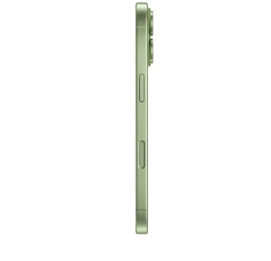 Apple iPhone 17 256GB Sage (Зеленый) (без RuStore) фото
