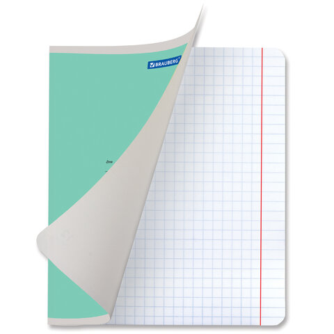 Тетрадь 12 л. BRAUBERG КЛАССИКА NEW крупная клетка, обложка картон, ЗЕЛЕНАЯ, 105689 фото