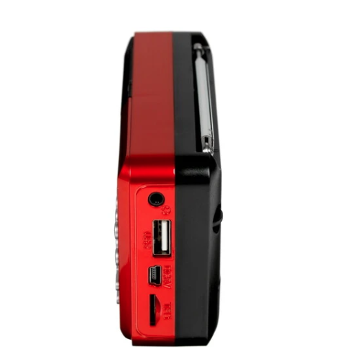 Радиоприемник PERFEO (PF-A4871) PALM - красный купить ЦИТ Радиоприемник PERFEO (PF-A4871) PALM - красный фото