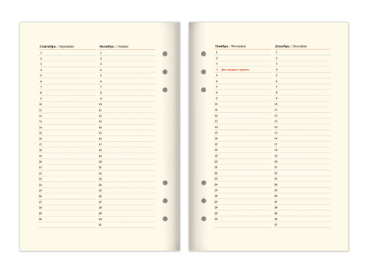 Ежедневник на кольцах в наборе с ручкой А5 165x229мм BRAUBERG Lux под кожу, 100л, зеленый, 116858 фото