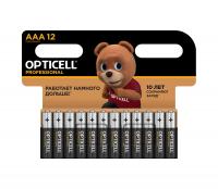 Батарейка OPTICELL LR6 (AA) 1шт PROFESSIONAL купить ЦИТ Батарейка OPTICELL LR6 (AA) 1шт PROFESSIONAL фото