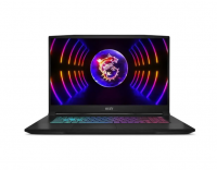 Ноутбук MSI Katana 17 B13VEK-1611XRU 17.3"FHD(1920x1080) IPS/Core i5-13420H 8с/16Gb/1Tb SSD/RTX 4050 фото