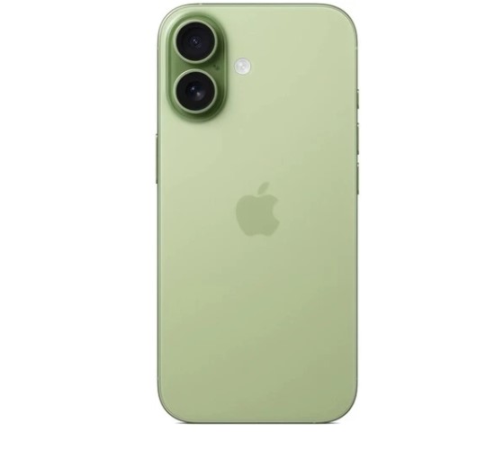 Apple iPhone 17 256GB Sage (Зеленый) (без RuStore) фото