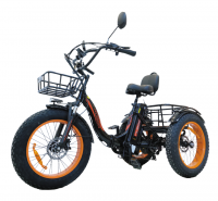 Kugoo TRIKE фото