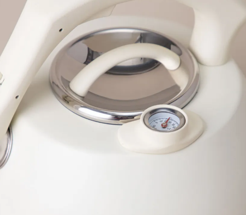 Чайник со свистком AGNESS 908-066 ТЮДОР с термометром 3,0л, бежевый фото