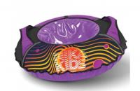 (м)Тюбинг D-900 мм Nika kids фиолетовый NT-90/V фото