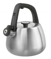 Чайник со свистком TALLER TR-11372 2,2л, нерж. фото