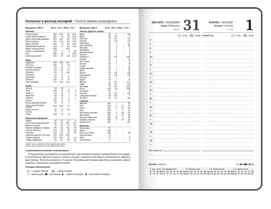 Ежедневник датированный 2026 с резинкой 145х203мм, А5, BRAUBERG, твердый, Безмятежность, 117336 фото