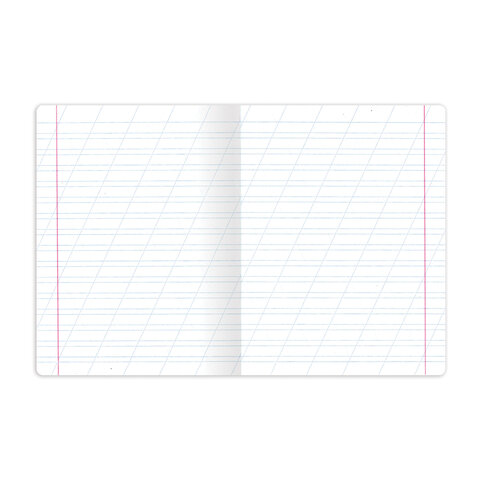 Тетрадь 12 л. BRAUBERG "КЛАССИКА NEW", косая линия, обложка картон, ЗЕЛЕНАЯ, 10568, 105688 фото