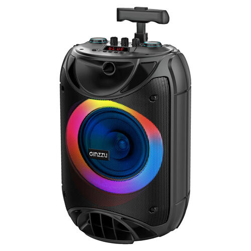 Минисистема GINZZU GM-233 фото