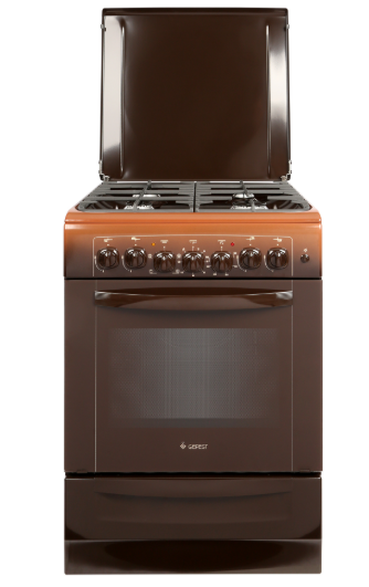 Газоэлектрическая плита GEFEST 6102-02 0001 фото