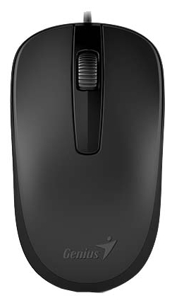 Мышь Genius DX-120 Black 1000 dpi USB фото