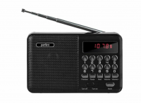Радиоприемник PERFEO (PF-A4870) PALM - черный фото