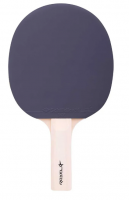 Ракетка н/т Roxel Hobby Start, прямая фото