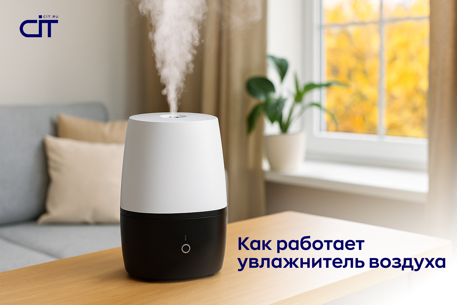 Для чего нужен увлажнитель воздуха в доме и как он работает Для чего нужен увлажнитель воздуха в доме и как он работает