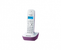 Тел. аппарат Panasonic KX-TG1611RUF фото
