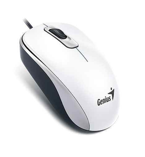 Мышь Genius DX-110 белый USB фото