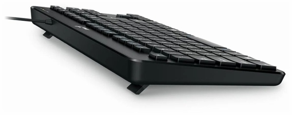 Клавиатура Genius LuxeMate 110 USB Black  фото