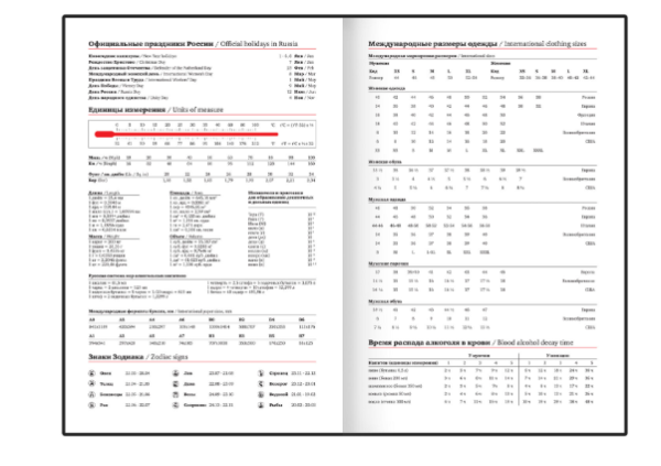 Ежедневник недатированный с резинкой А5 145х203мм, BRAUBERG, твердый, фольга, 128л, Vase, 116295 фото