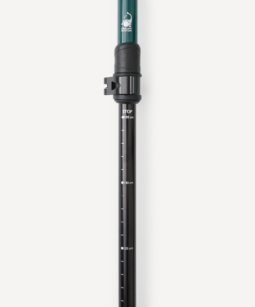Палки для скандинавской ходьбы BERGER Travel Balance BTF26NP2-01,80-135 см,2-секционные,сине-зеленый фото