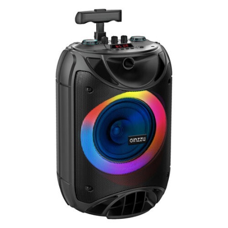 Минисистема GINZZU GM-233 фото