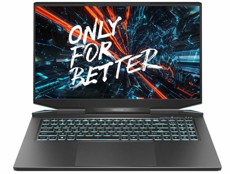 Ноутбук Maibenben X757 Ryzen 7 5800H/16Gb/1Tb SSD/RTX 3070 8Gb/17.3"QHD IPS/noOS/black (X757QSGELBRE фото